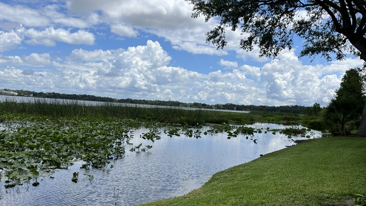 Major project to clean up Lakeland's Lake Hollingsworth about to get underway