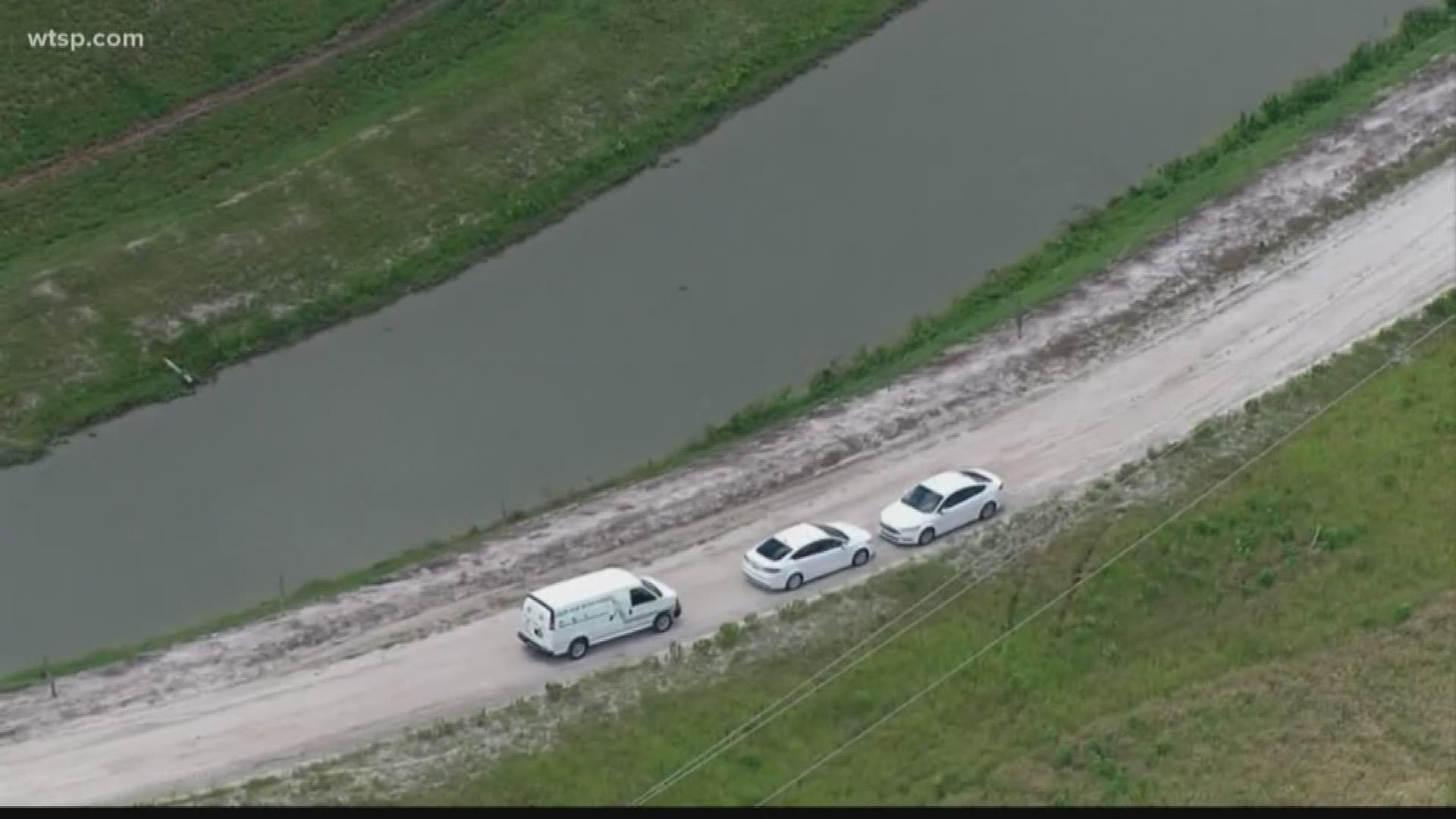 A human body was found in the water near an alligator on Thursday just off Peeples Road near County Road 630 in Polk County.

The Polk County Sheriff's Office says the remains of a deceased man were pulled from a canal on the property of The Mosaic Company, which does mining along Highway 630 -- just west of Fort Meade. An employee doing inspections discovered the man's body.