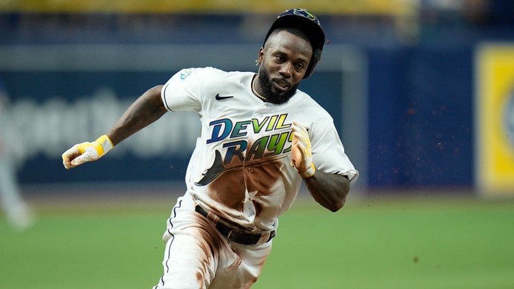 fred mcgriff devil rays jersey