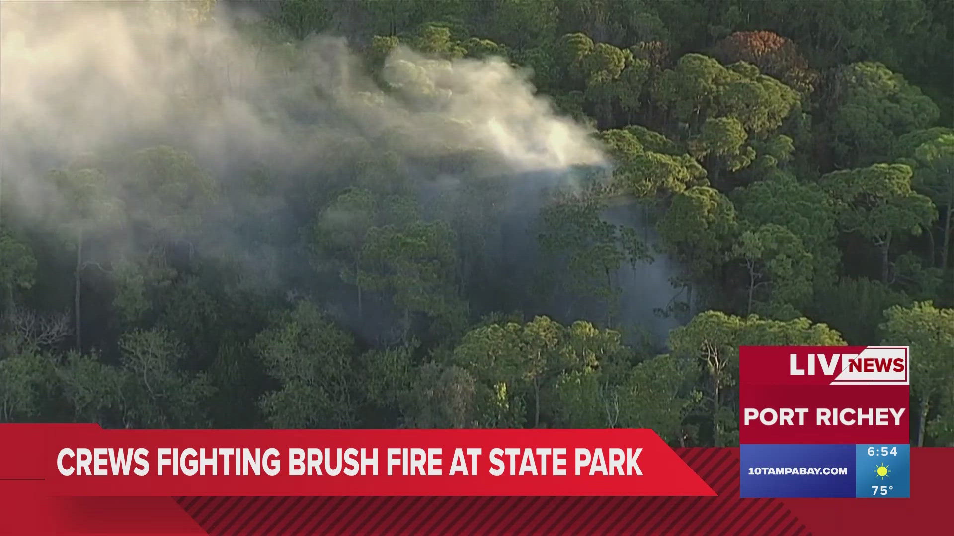Firefighters are battling a brush fire at the Werner-Boyce Salt Spring State Park.