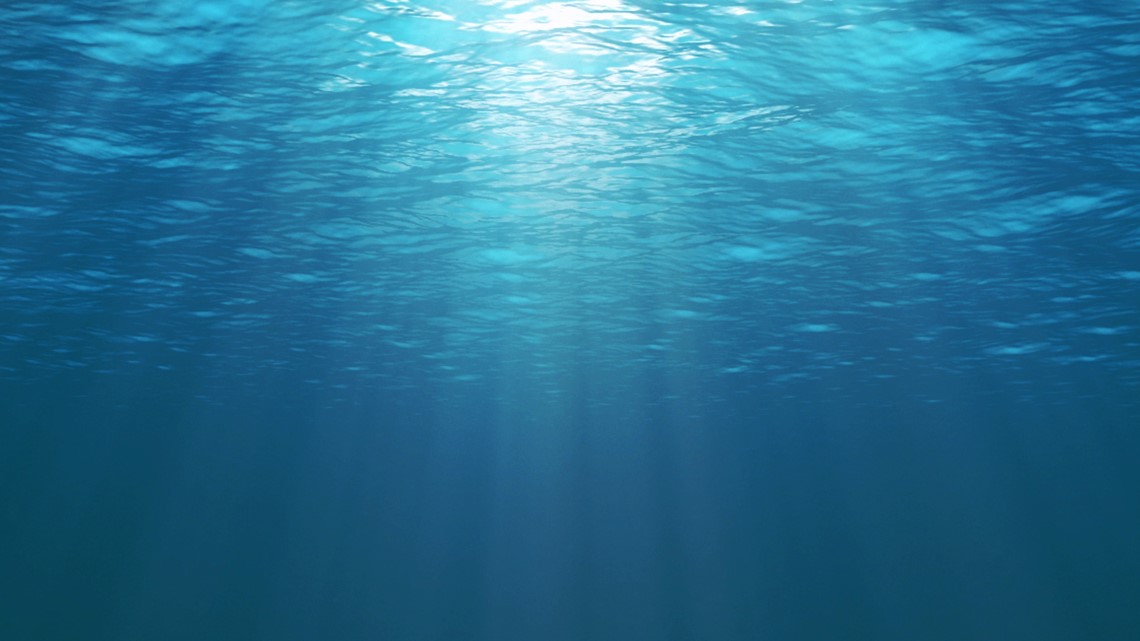 Man dies while snorkeling in Florida Keys - Vimarsana News