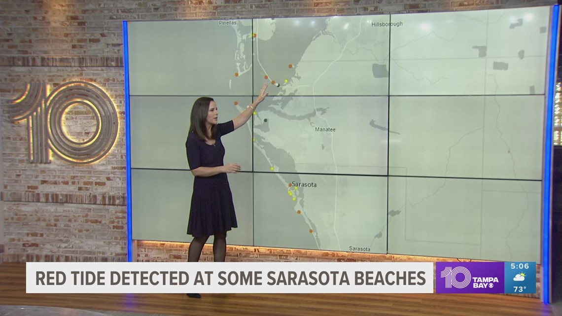 Elevated levels of red tide confirmed at some Sarasota County beaches