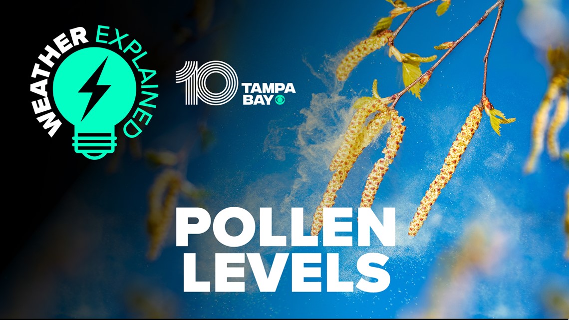 Florida's has a few pollen seasons, including in winter