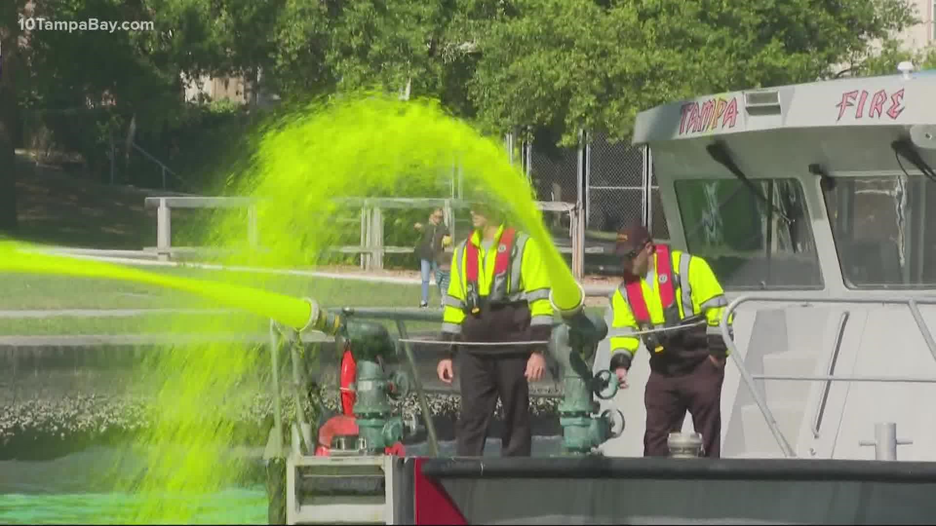 Tampa city leaders say the dye is safe for the environment and won't harm animals or people.