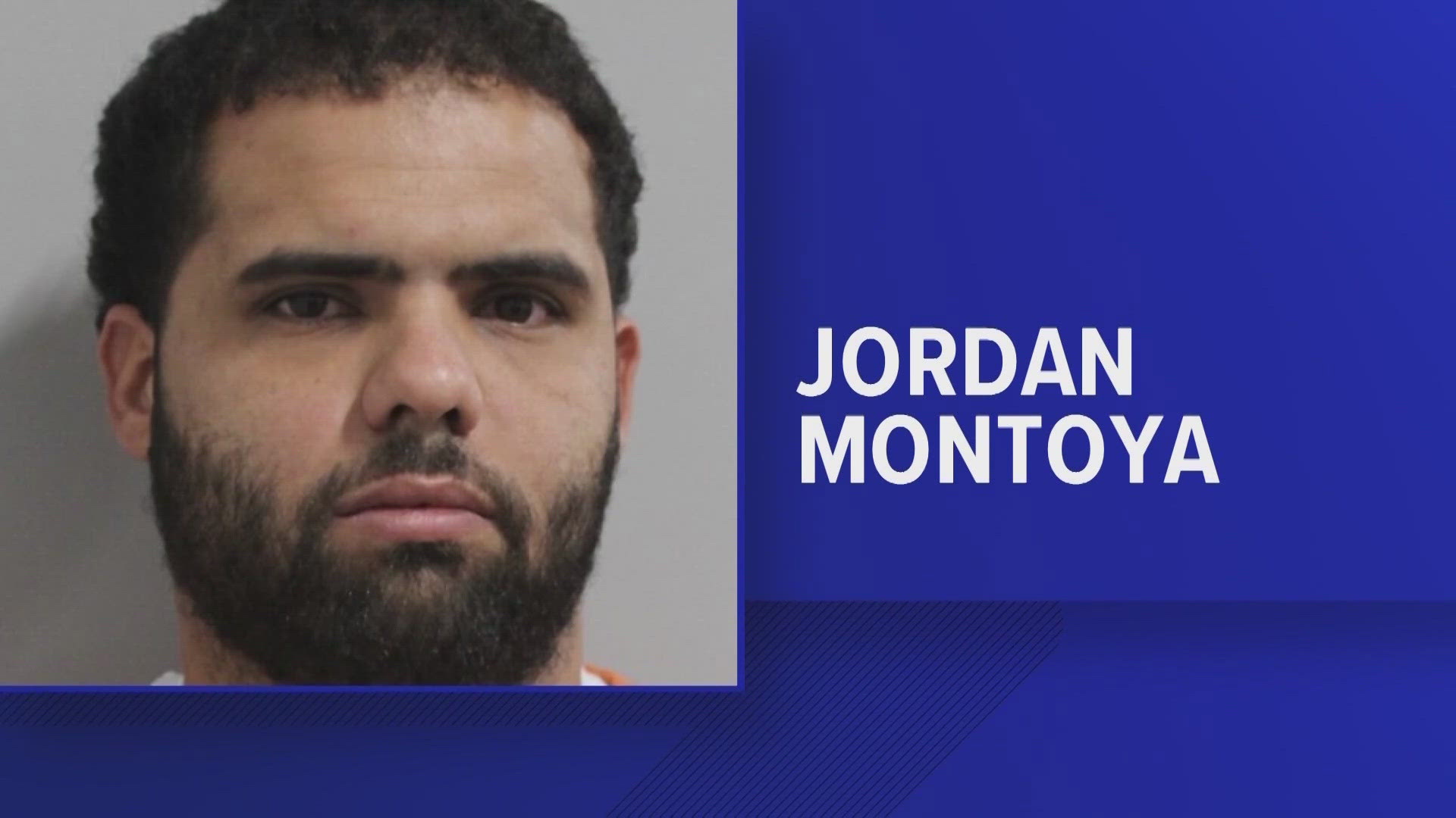 Accused swan theft arrested again wtsp