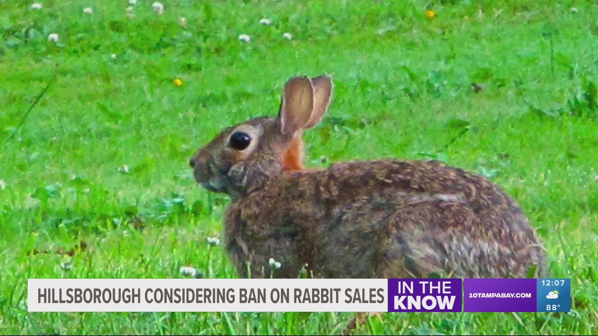 The county is concerned about the number of rabbits being surrendered.