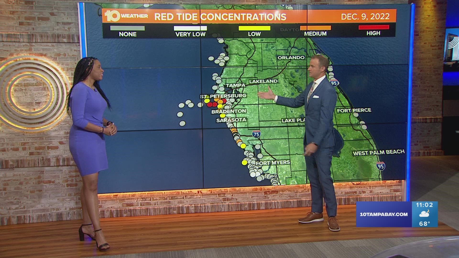 If you live in the Tampa Bay area, you're probably familiar with red tide — and the droves of dead fish it brings ashore.