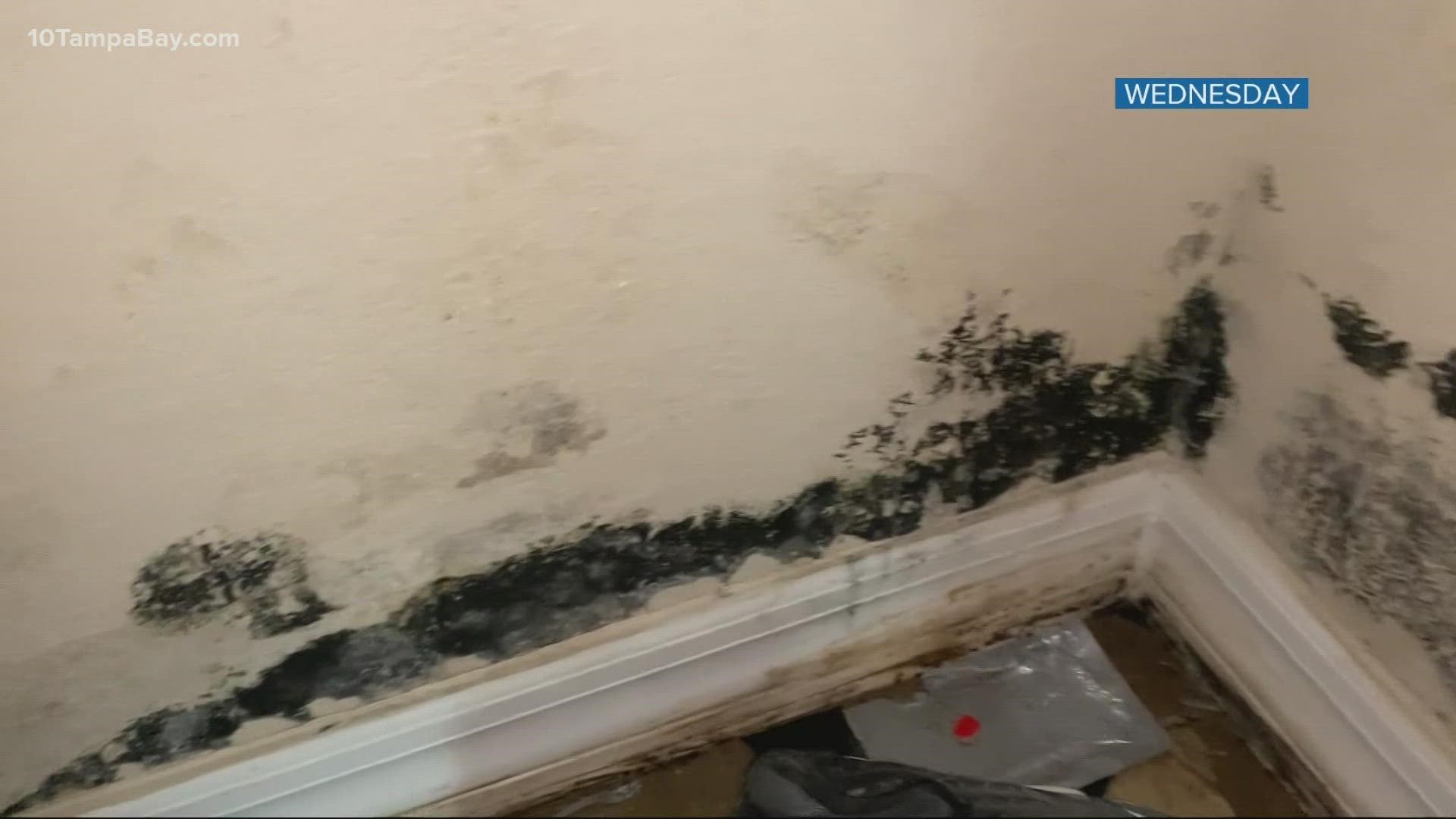 Tenants said they haven't seen this many repairs after their stories went public. For years, they've complained about mold, rodents and broken appliances.