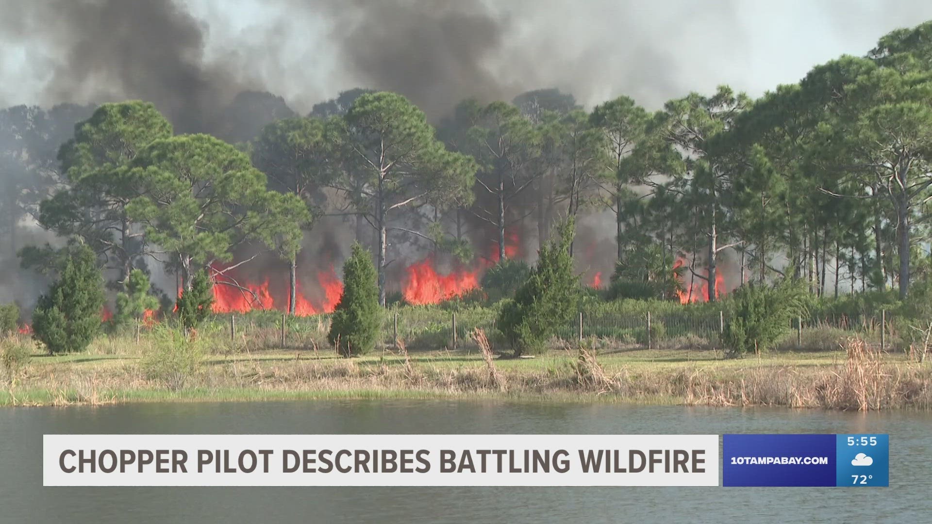 Crews recently spent hours putting out a controlled burn-turned-wildfire in Sarasota's Oscar Sherer State Park.