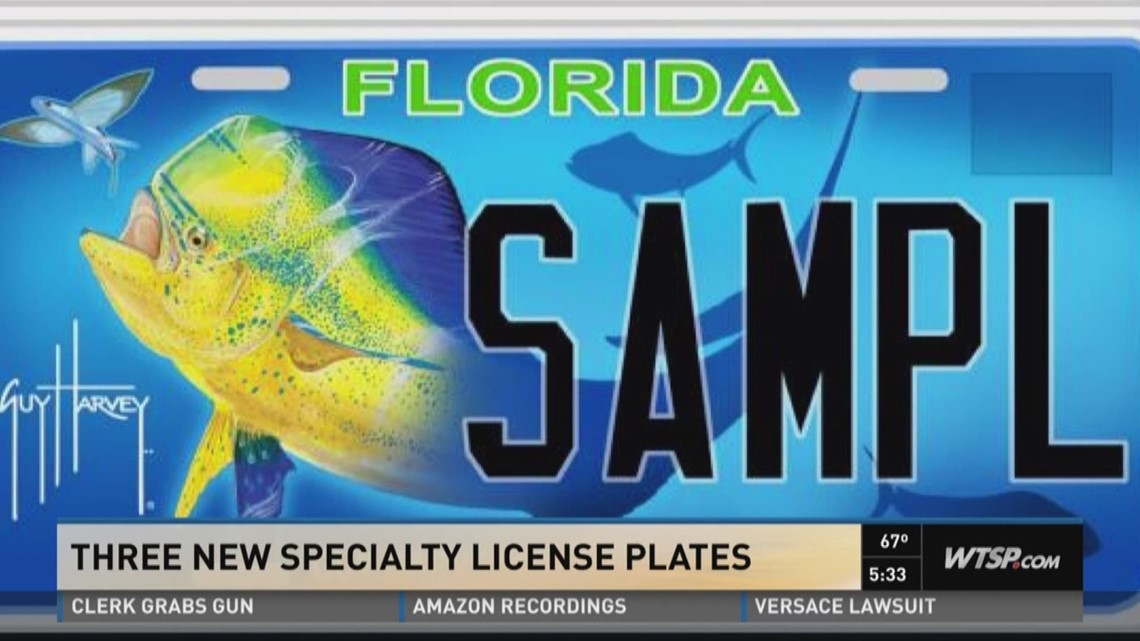 florida temporary license plate