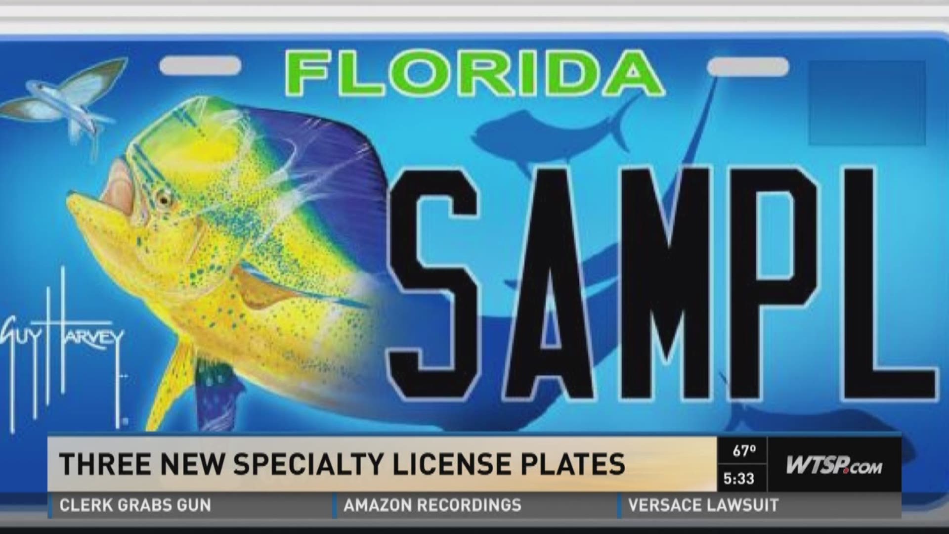 florida specialty plates
