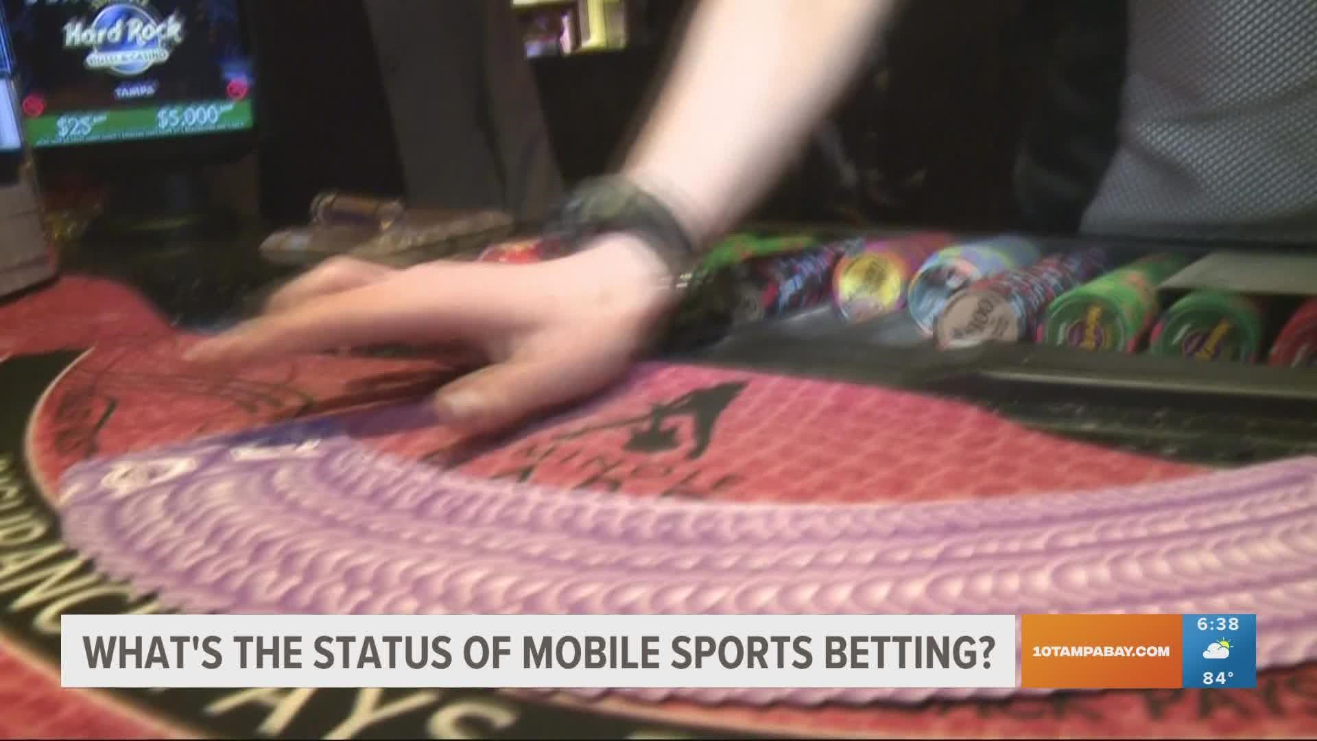 Is sports betting legal in Florida? Here's what you need to know