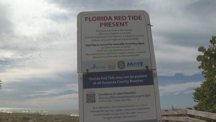 Red tide detected in Sarasota County beaches