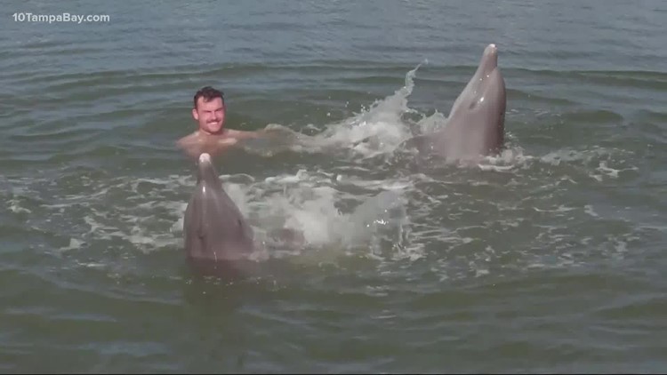 Wounded warriors spend day with dolphins in Florida Keys