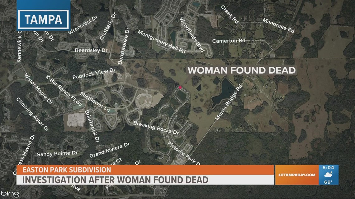 Mother found dead in New Tampa neighborhood next to SUV with sleeping toddler inside
