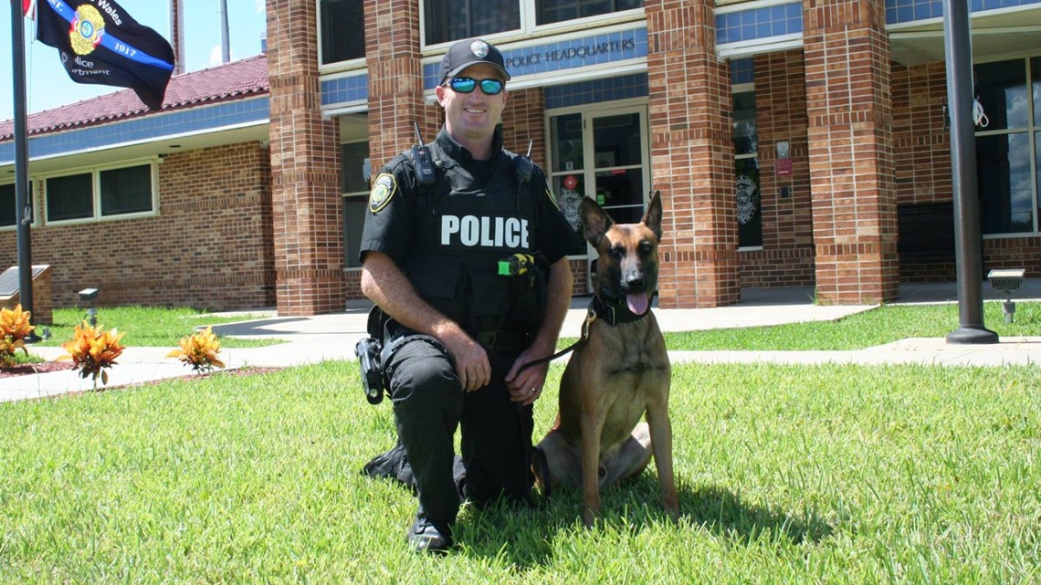 Memorial service planned for Florida K-9 officer killed - Vimarsana News