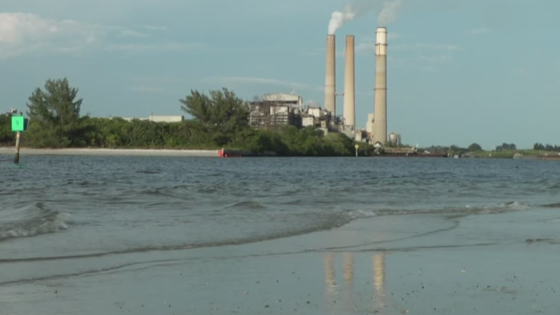 People who live and work near TECO's coal-burning plant near Apollo Beach are wondering how the smoke from the facility is affecting their health.