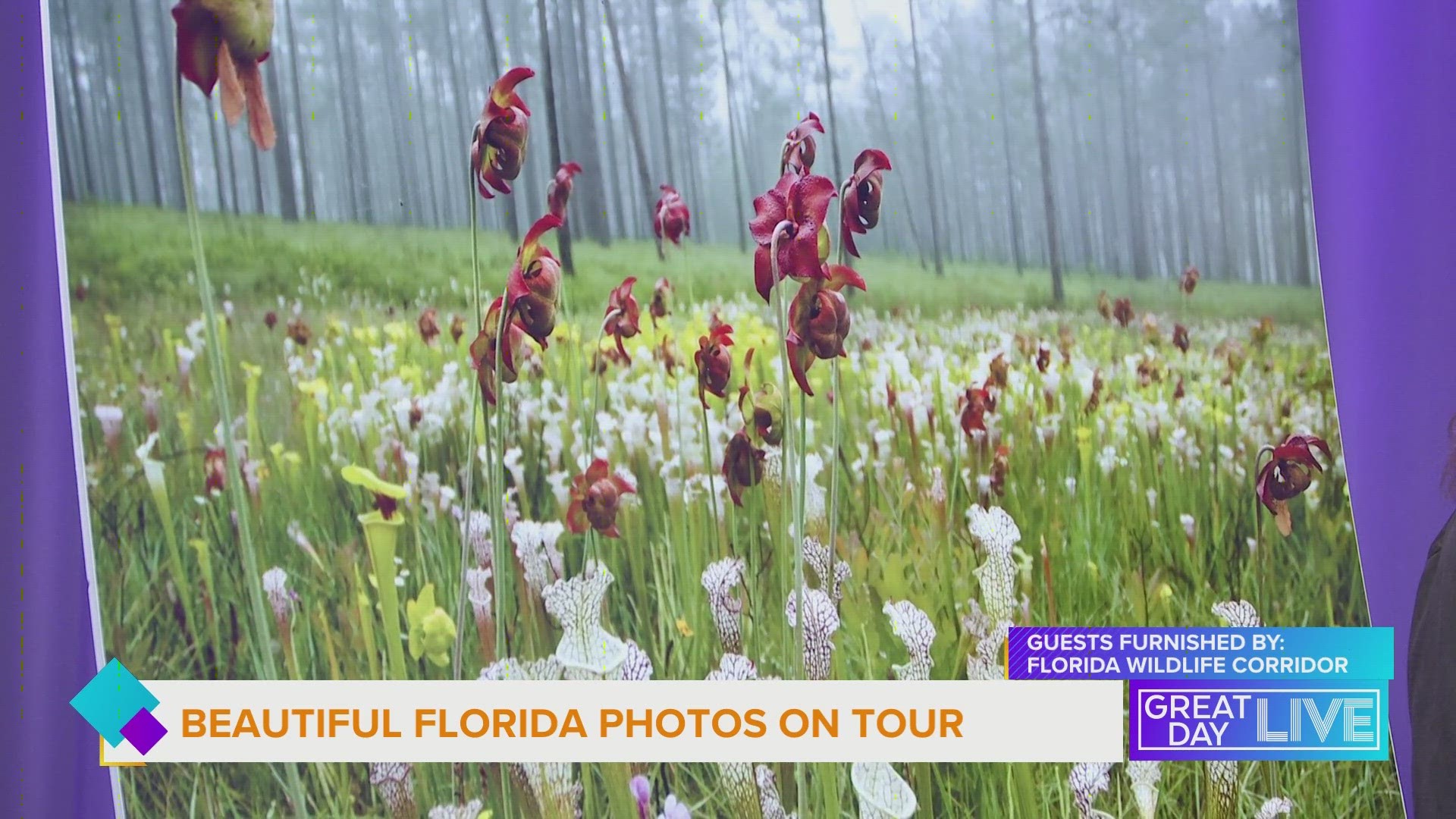 The Florida Wildlife Corridor Foundation is bringing its “You are Here” exhibit to the Florida State Fair Feb. 8-19.