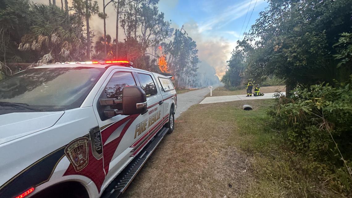 Large brush fire in North Port contained | wtsp.com
