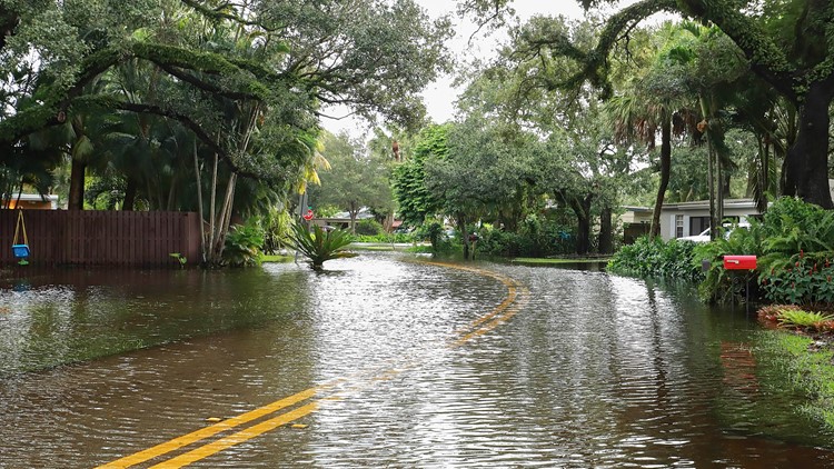 Extreme weather events are changing Floridians' attitudes about climate change, poll finds