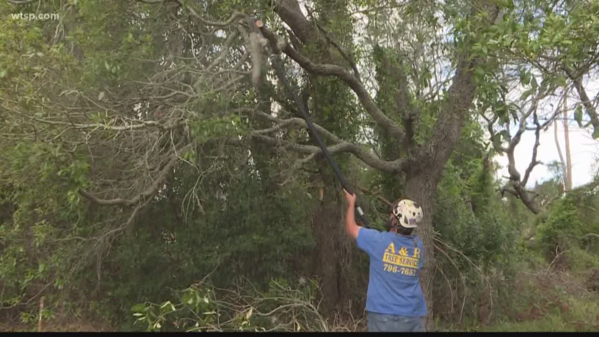 Part of preparing for hurricane season is making sure the trees around your home don't pose a risk if a storm were to hit.

Up until recently, if you wanted to remove a tree on your property, you probably had to get a permit from the city or town you live in but that's not the case anymore.

A new law in Florida bans local governments from regulating tree removal and re-planting on private property.