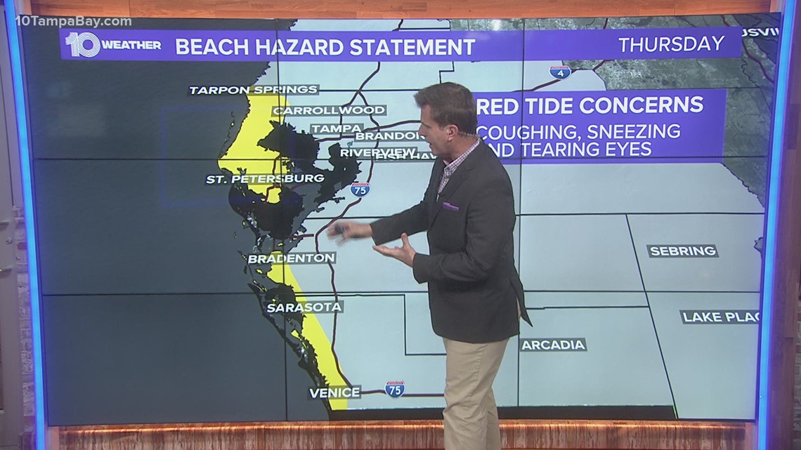 Parts of Tampa Bay area coastline under beach hazard statement due to ...