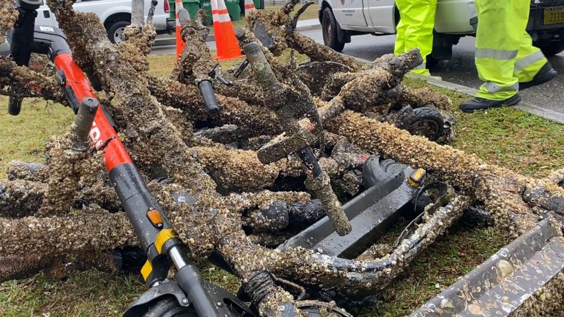 Tampa to install escooter docks to prevent river pollution
