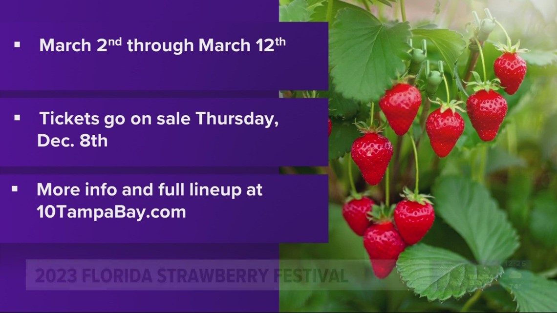 Willie Nelson, Lynyrd Skynyrd, Train to take 2023 Florida Strawberry