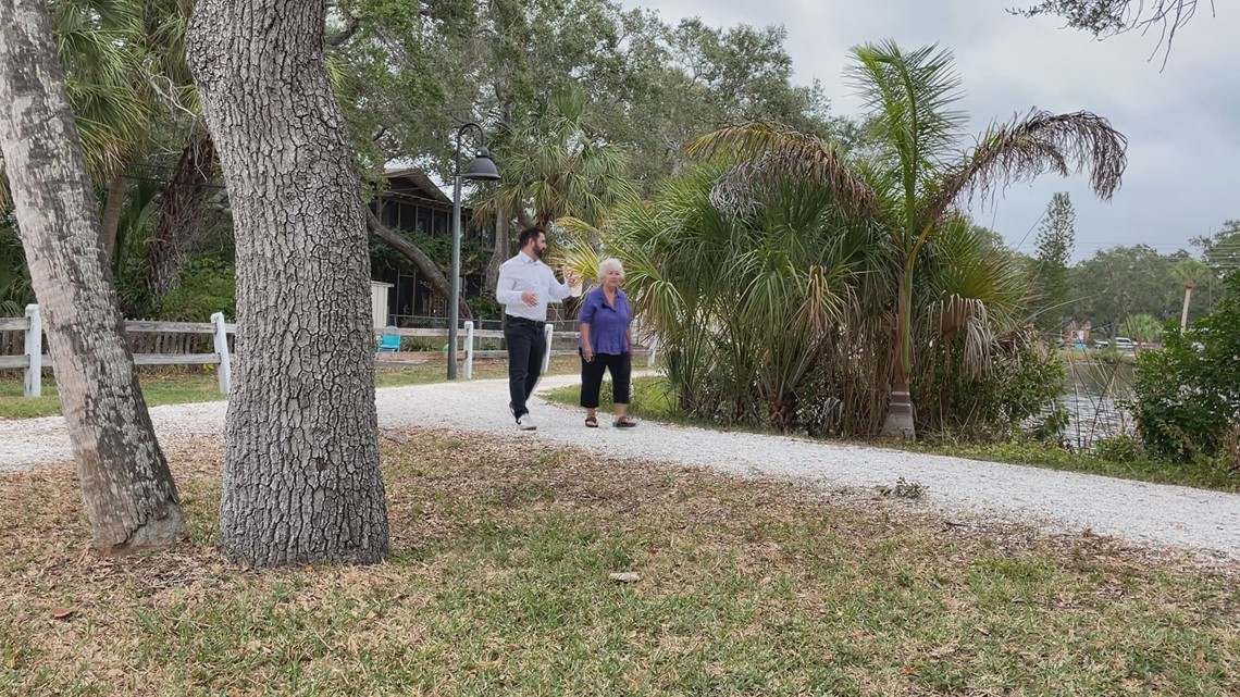 Tampa Bay communities aim to tackle shrinking tree canopies - Vimarsana News