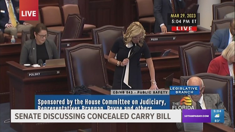 Florida senate to discuss changing state's concealed carry law