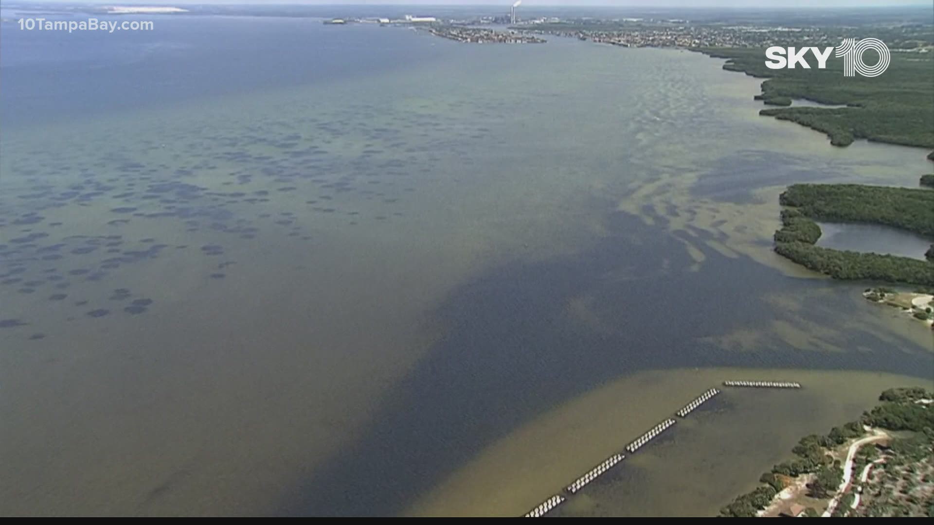 The models will help predict how the nutrient-rich wastewater dumped into Port Manatee will disperse throughout the bay.