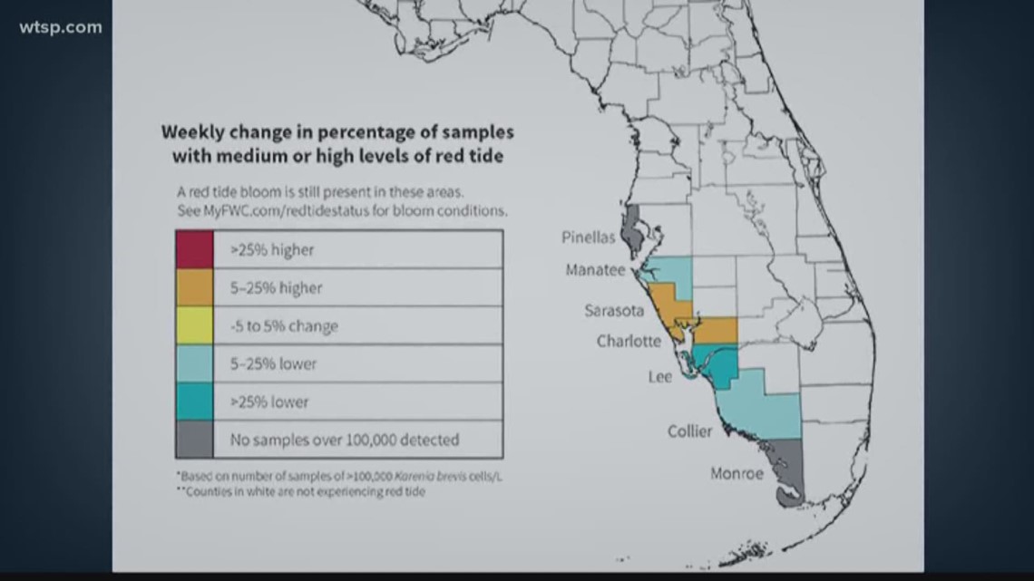 New FWC map shows changes in red tide levels  wtsp.com