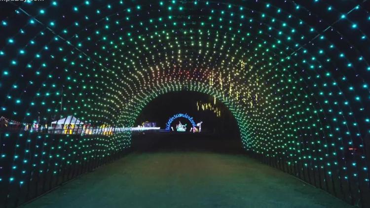 Check out these holiday light displays around Tampa Bay