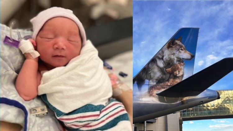 Flight attendant remains 'calm,' helps deliver baby mid-flight on way to Orlando