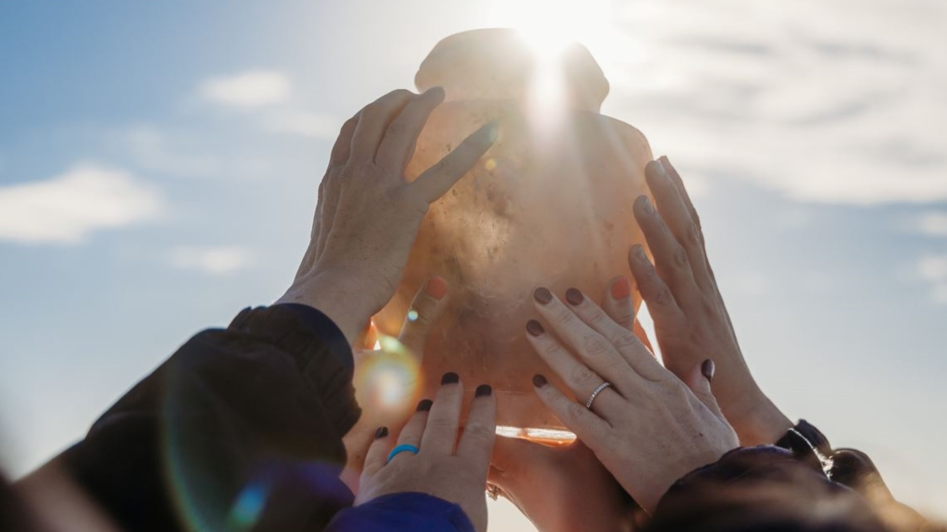 Winter the Dolphin’s ashes released into Gulf of Mexico | wtsp.com