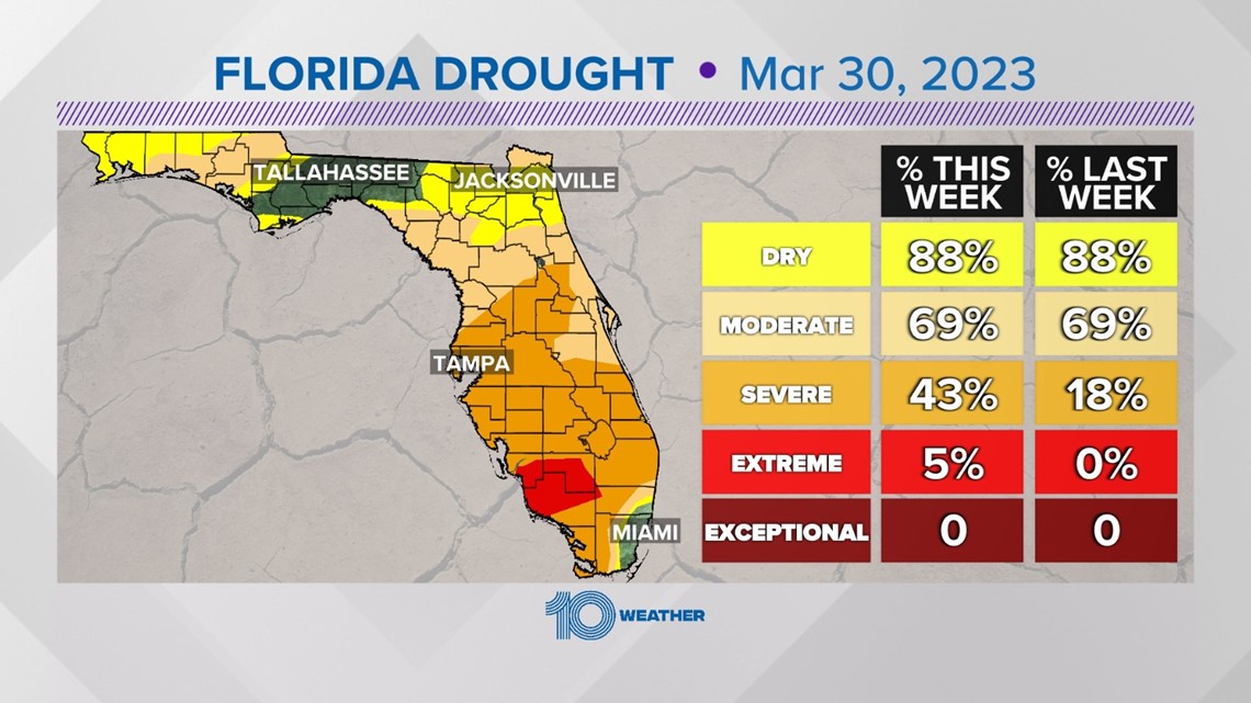 Tampa Bay area upgraded to a severe drought level