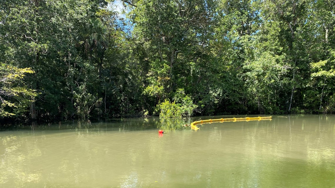 Woman saved after almost drowning in Weeki Wachee river - Vimarsana News