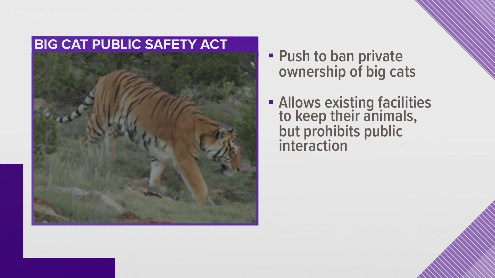 Big Cat Rescue's Carole Baskin and her husband Howard have been lobbying for the bill's passage for years.