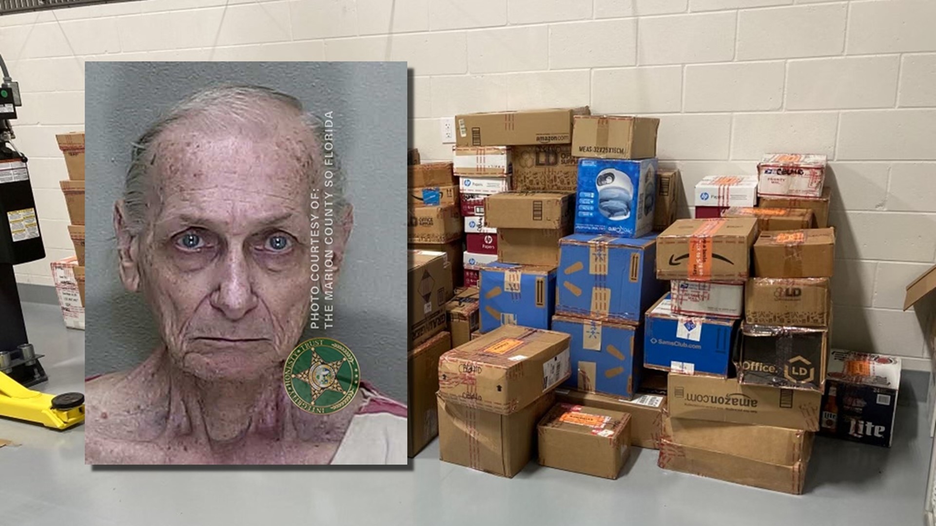 Central Florida man accused of having 200K images of child porn | wtsp.com
