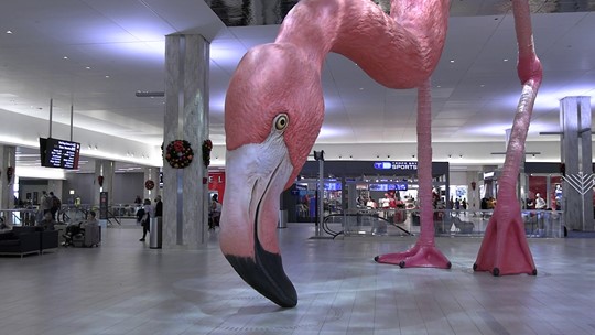 Tampa airport's pink flamingo needs a name: Vote now | wtsp.com