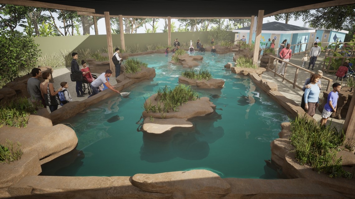 Tickets for ZooTampa's new stingray experience now on sale - Vimarsana News