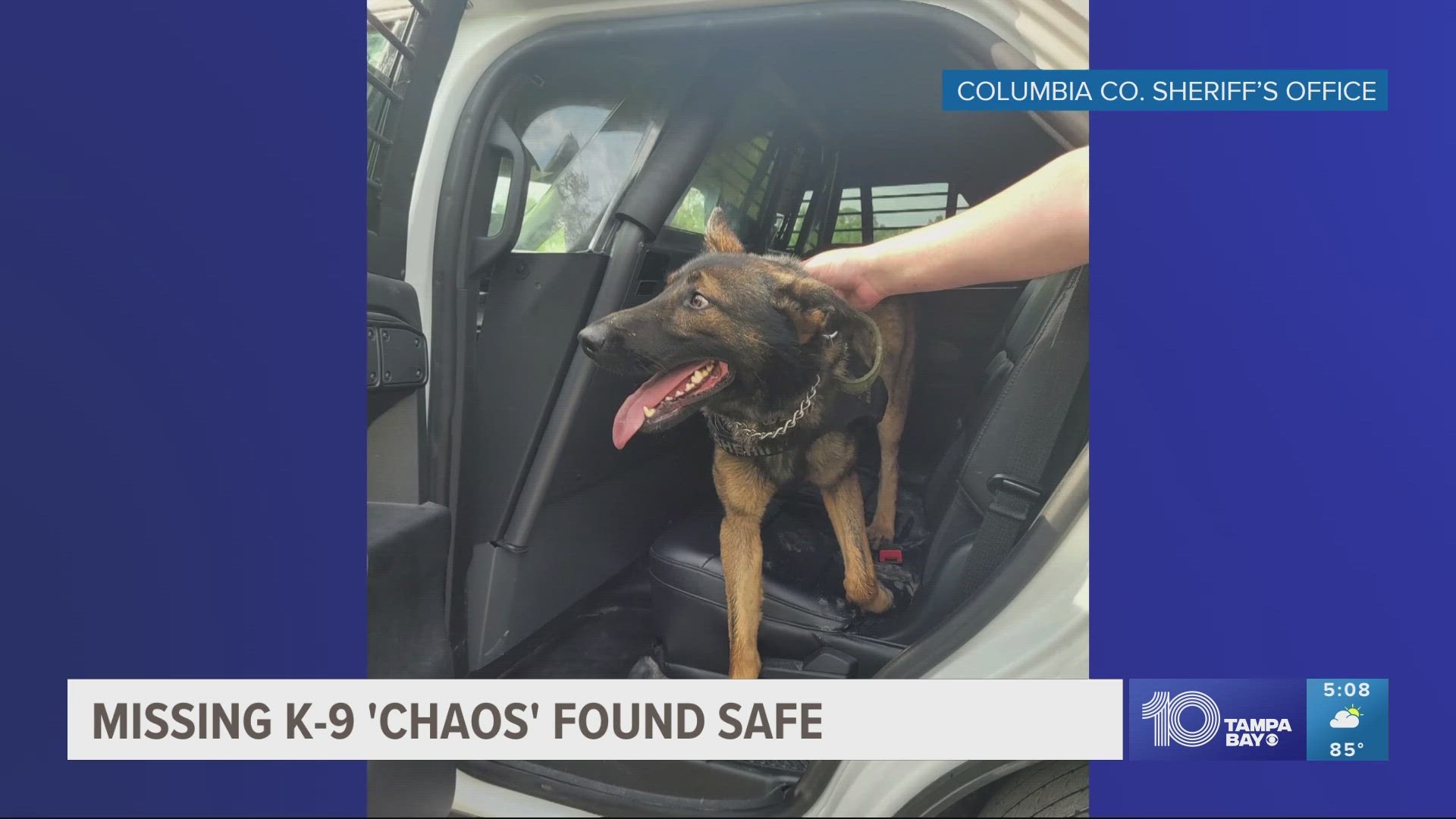 The man deputies and K-9 Chaos were searching for was taken into custody Monday.
