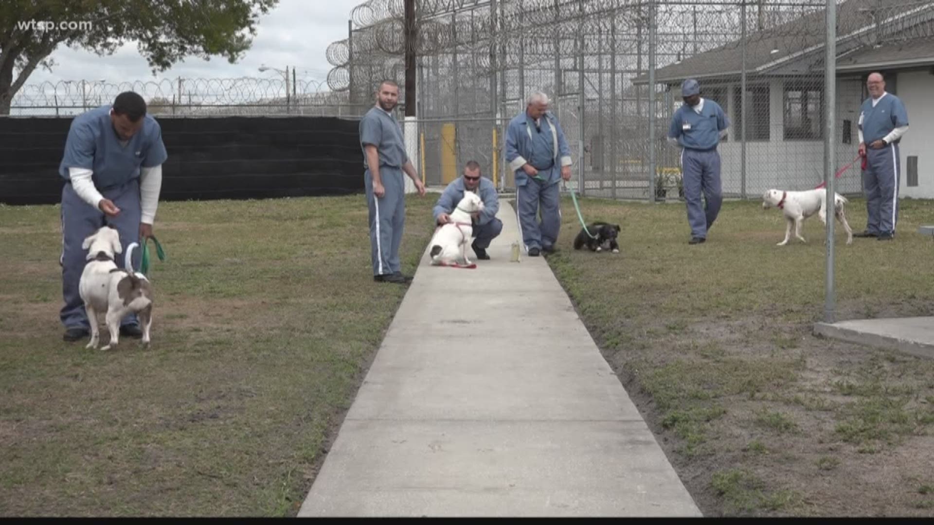 The eight-week program aims to improve inmate life and prepare dogs for adoption.