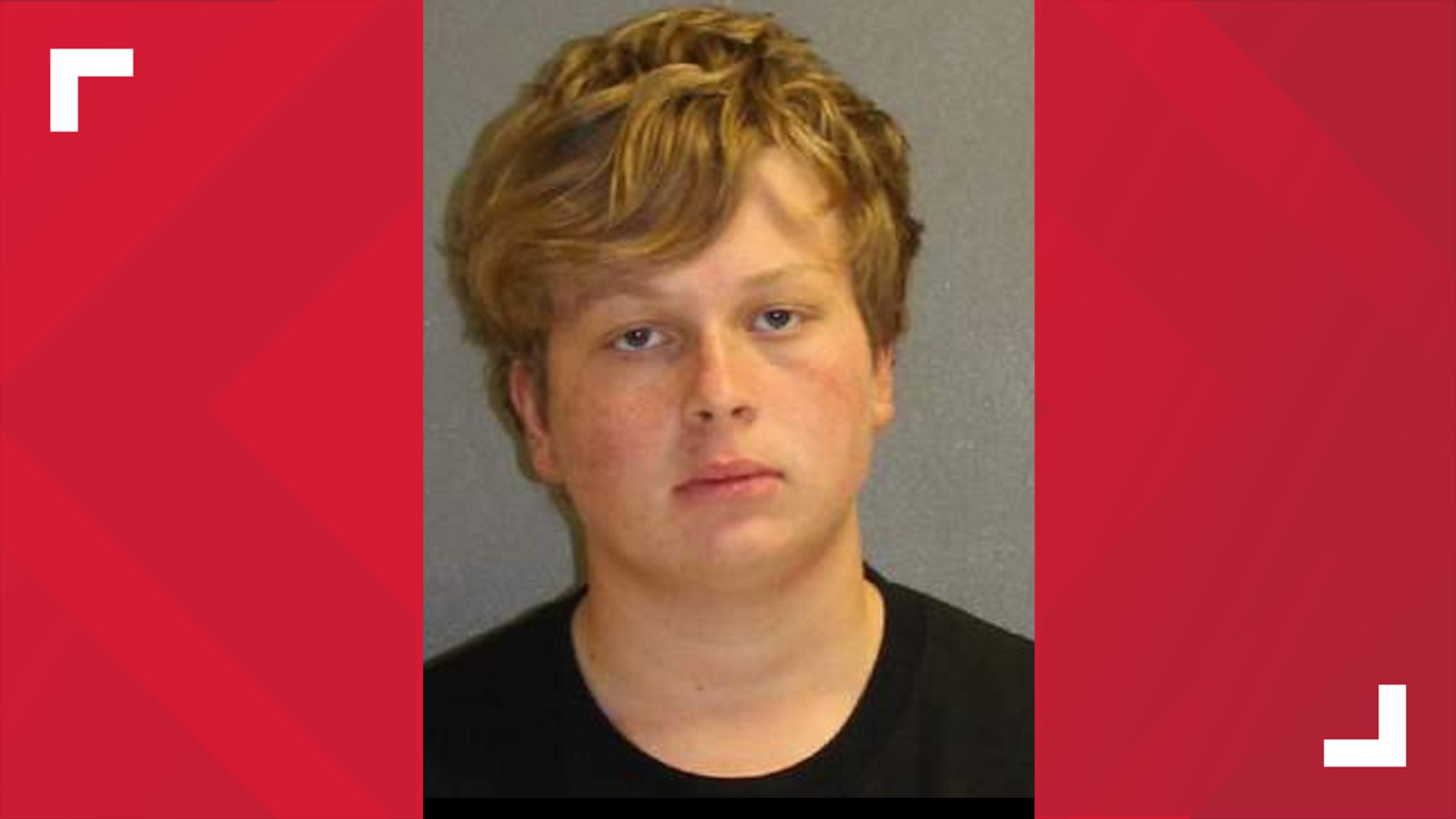 DeBary teen pleads guilty to killing mom in argument over grades