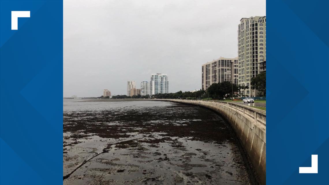 Why Hurricane Ian brought a reverse storm surge to Tampa Bay | wtsp.com