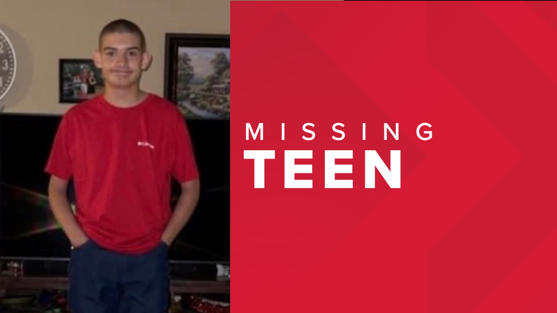 Police Searching For Missing Zephyrhills Teen