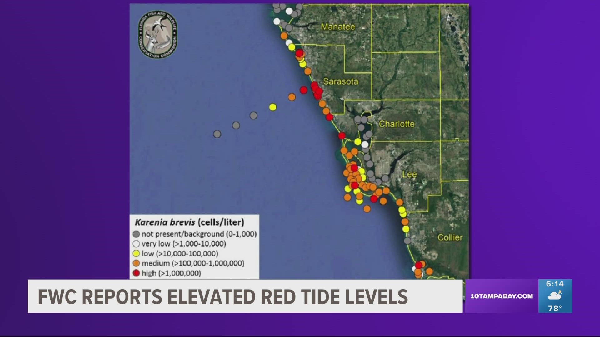 Sarasota County also reported fish kills related to the red tide bloom last week, FWC says.