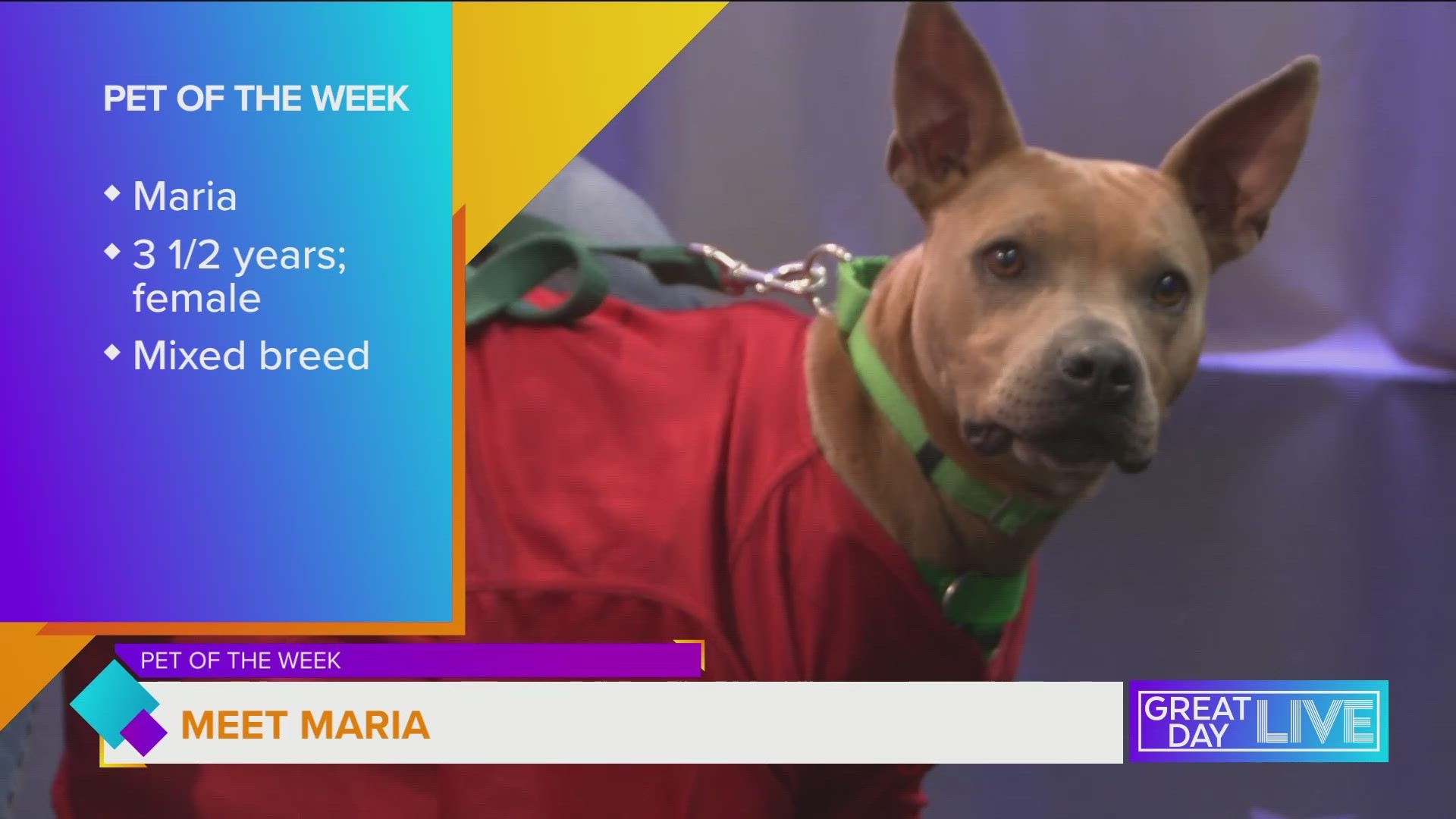 Pet of the Week: Meet Maria