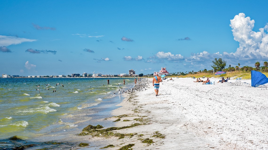 Red tide is blooming in Southwest Florida after Hurricane Ian. Will it  reach Tampa Bay?