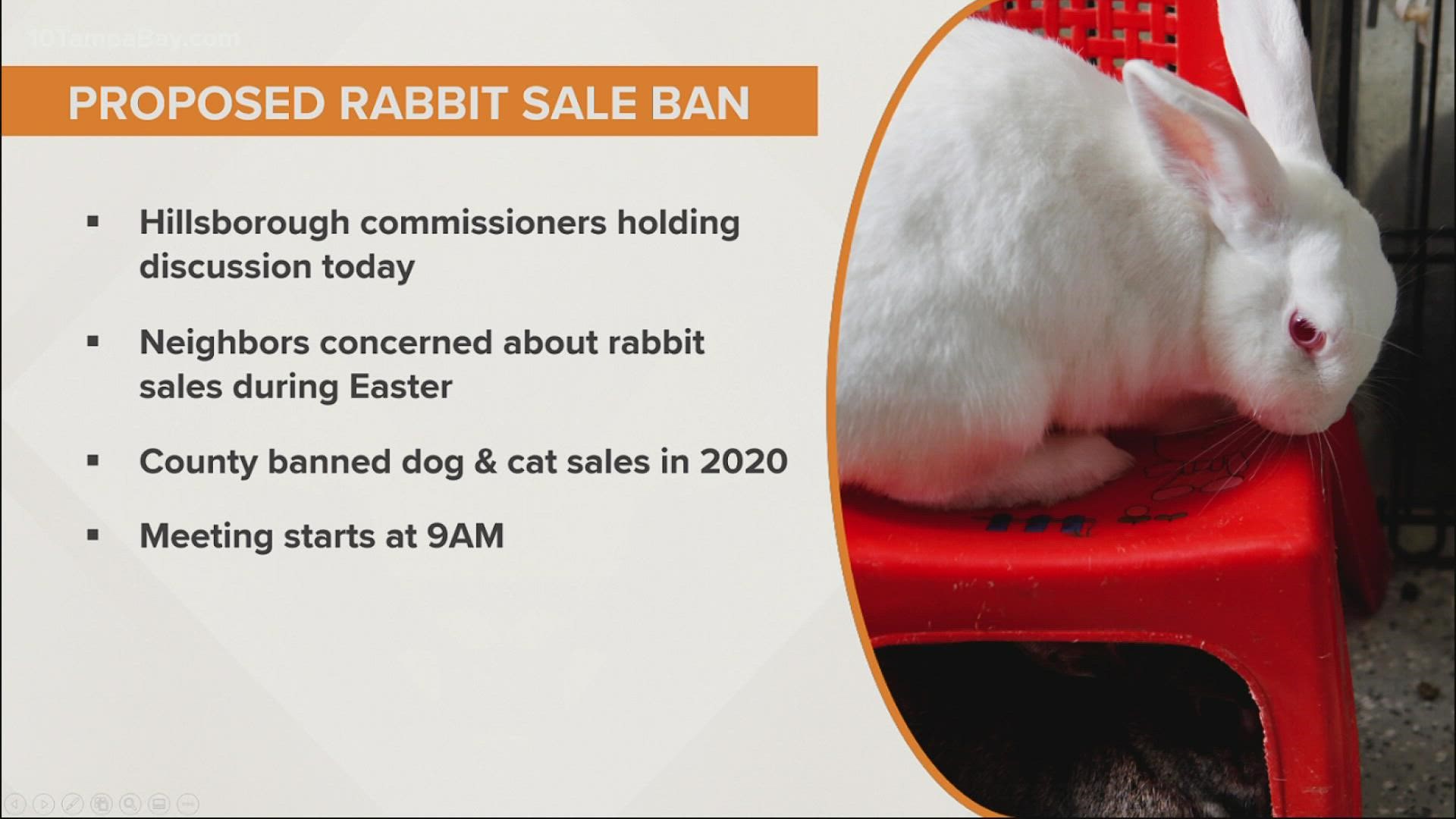 Stores that outlet sell rabbits